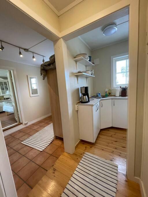 Apartament With Access To Garden, Central, Quiet And With Free Parking Fredrikstad Buitenkant foto